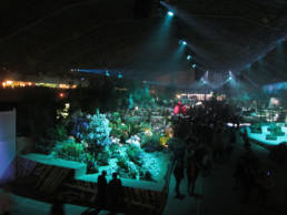 Exposition écologique, florissimo à Dijjon en 2015