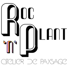 Roc 'n' Plant